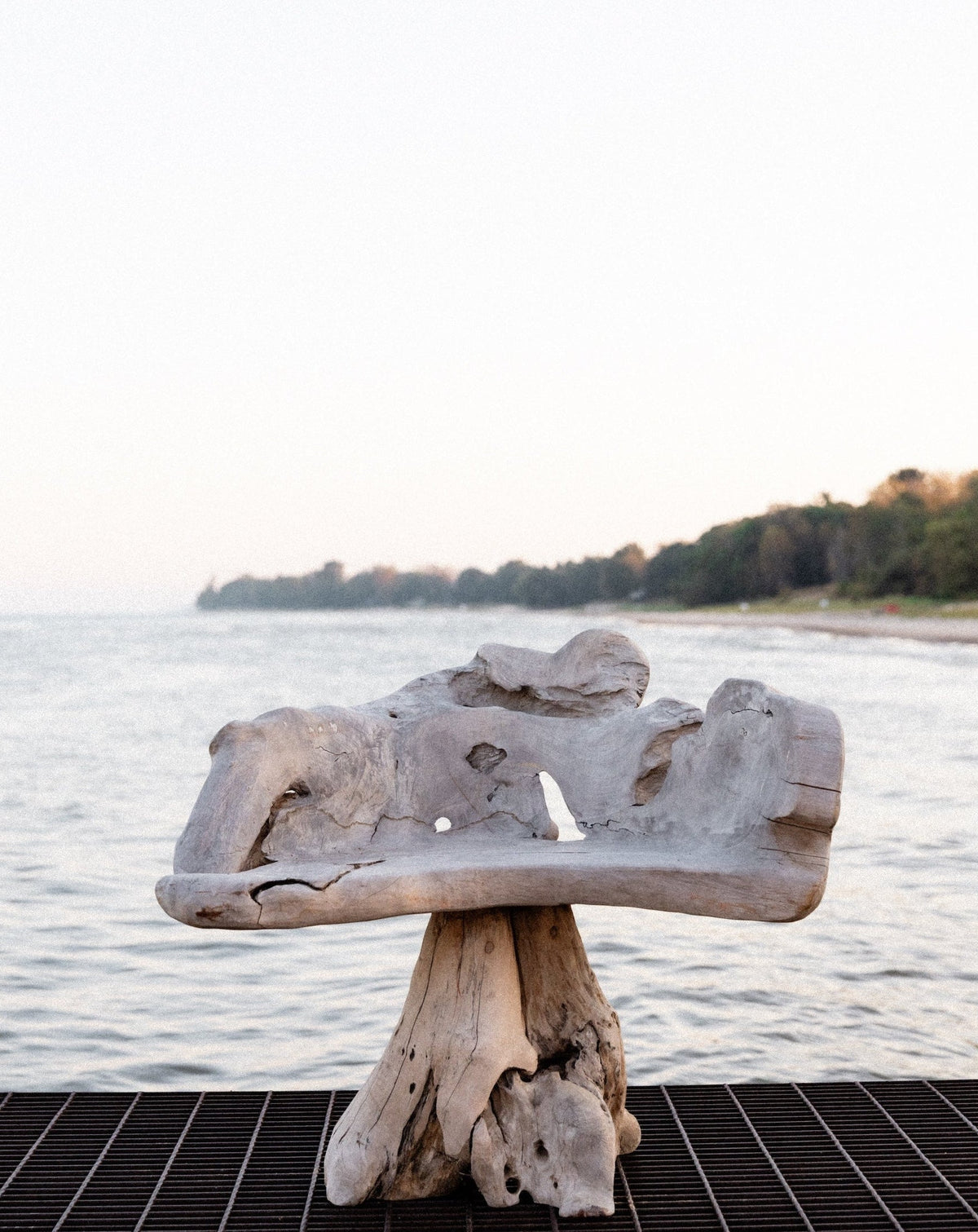 Live Edge Chairs | Pair