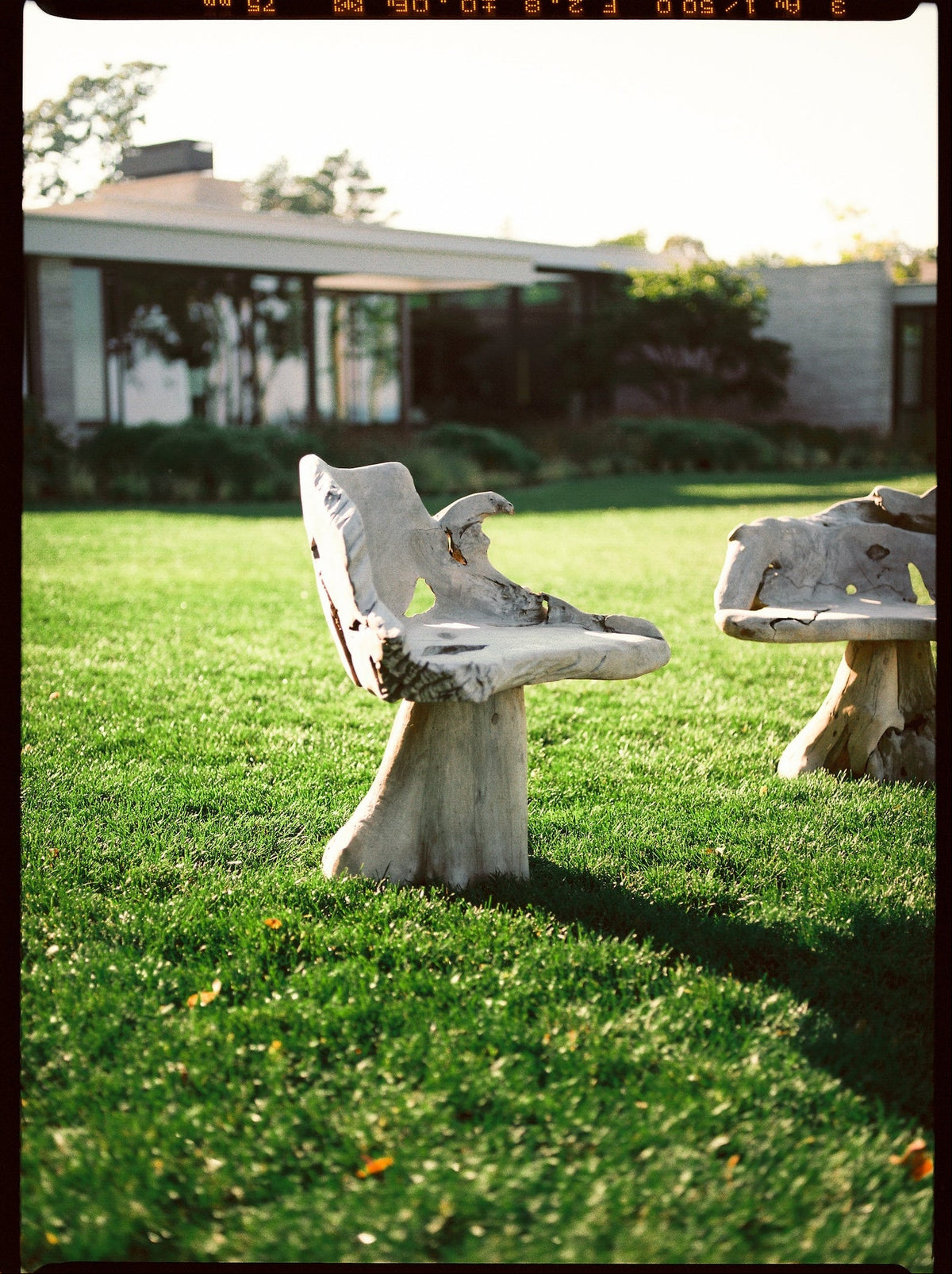 Live Edge Chairs | Pair